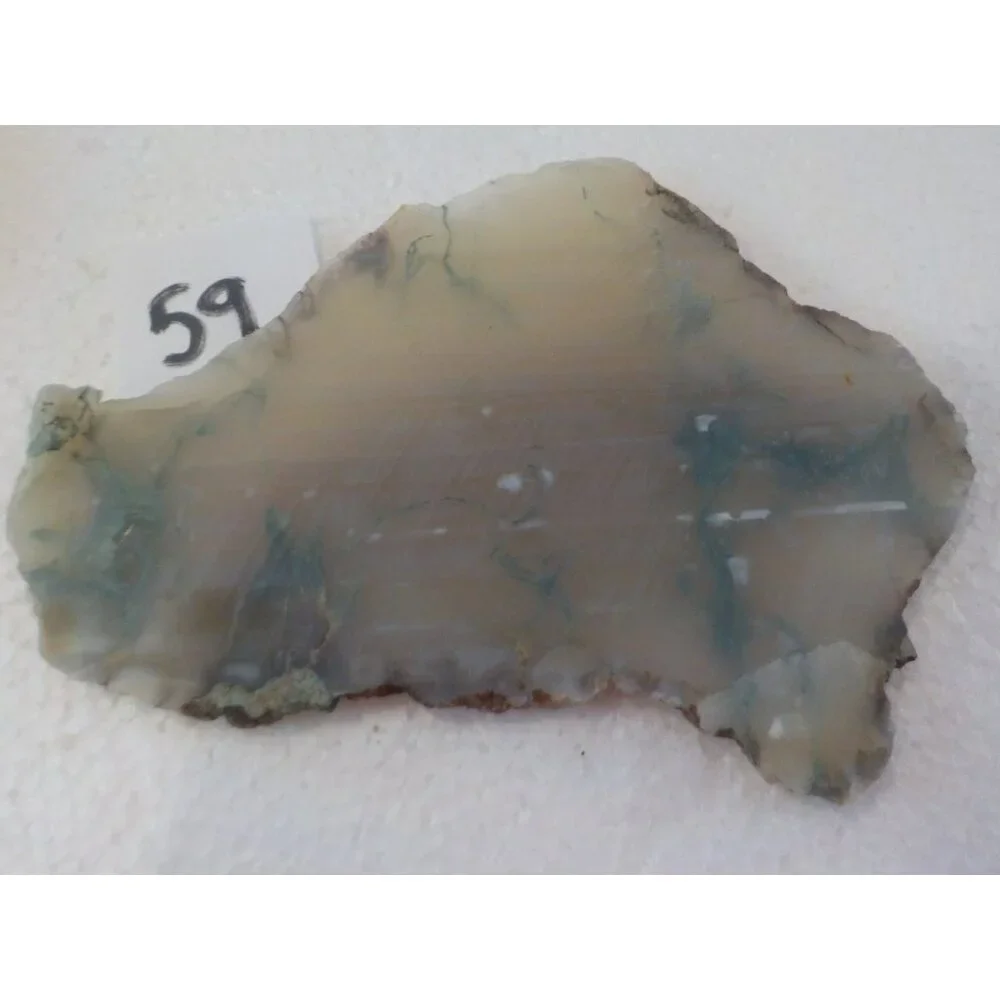 Oregon Moss Agate Maury Mountain Central Oregon Ochoco Rock Slab Translucent
